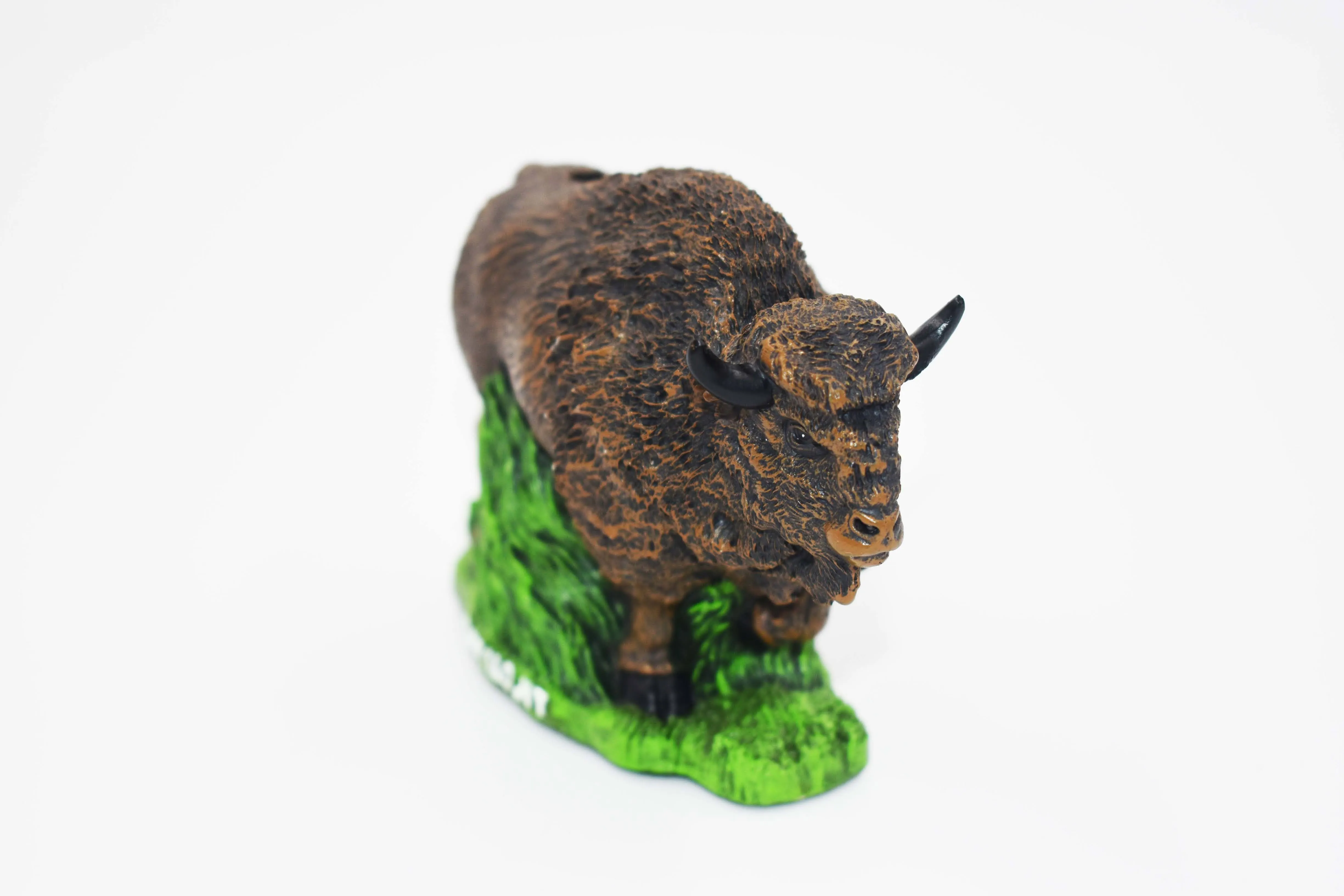 Buffalo Coin Bank